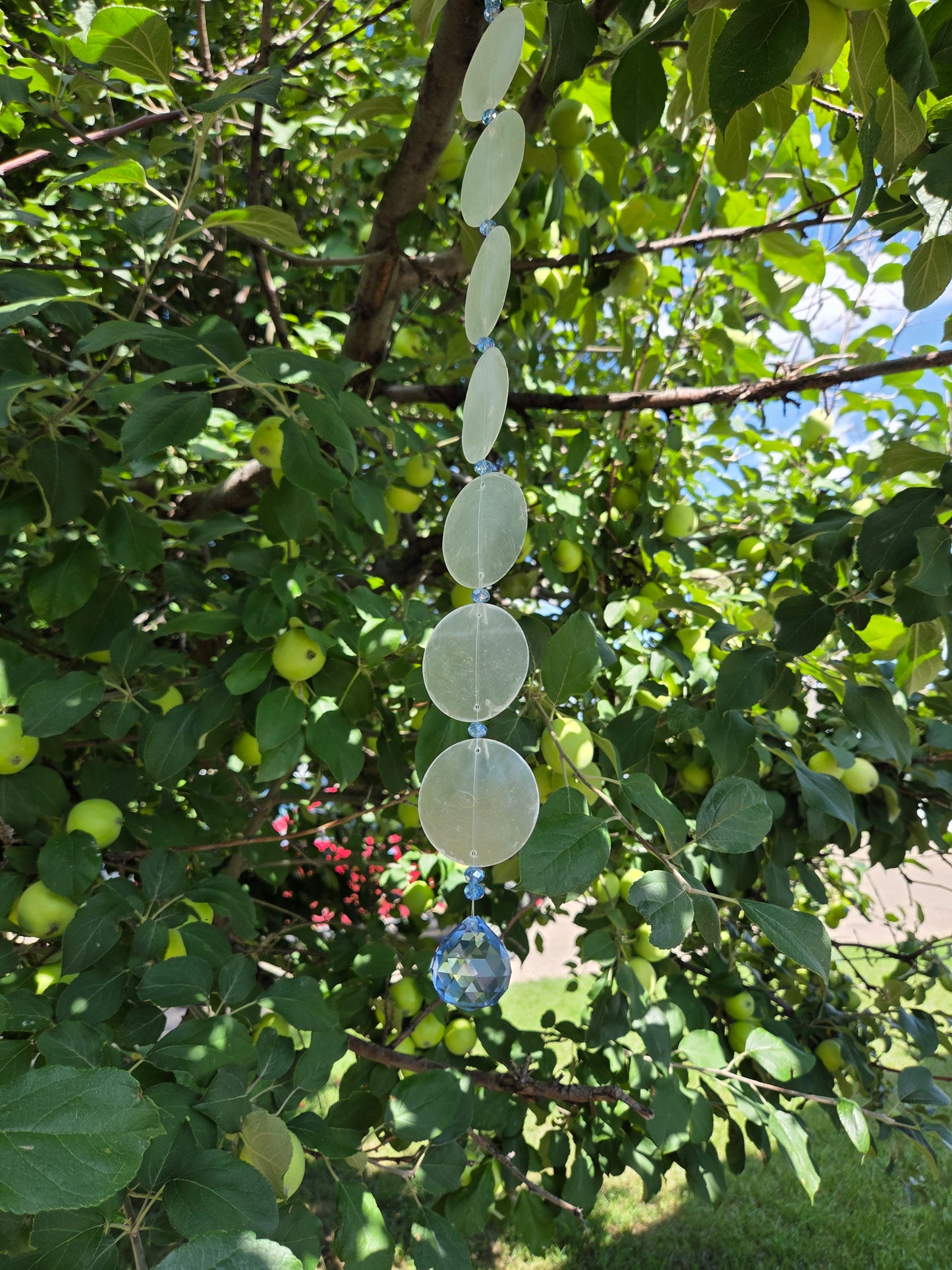 ✨ Capiz Shell Suncatchers