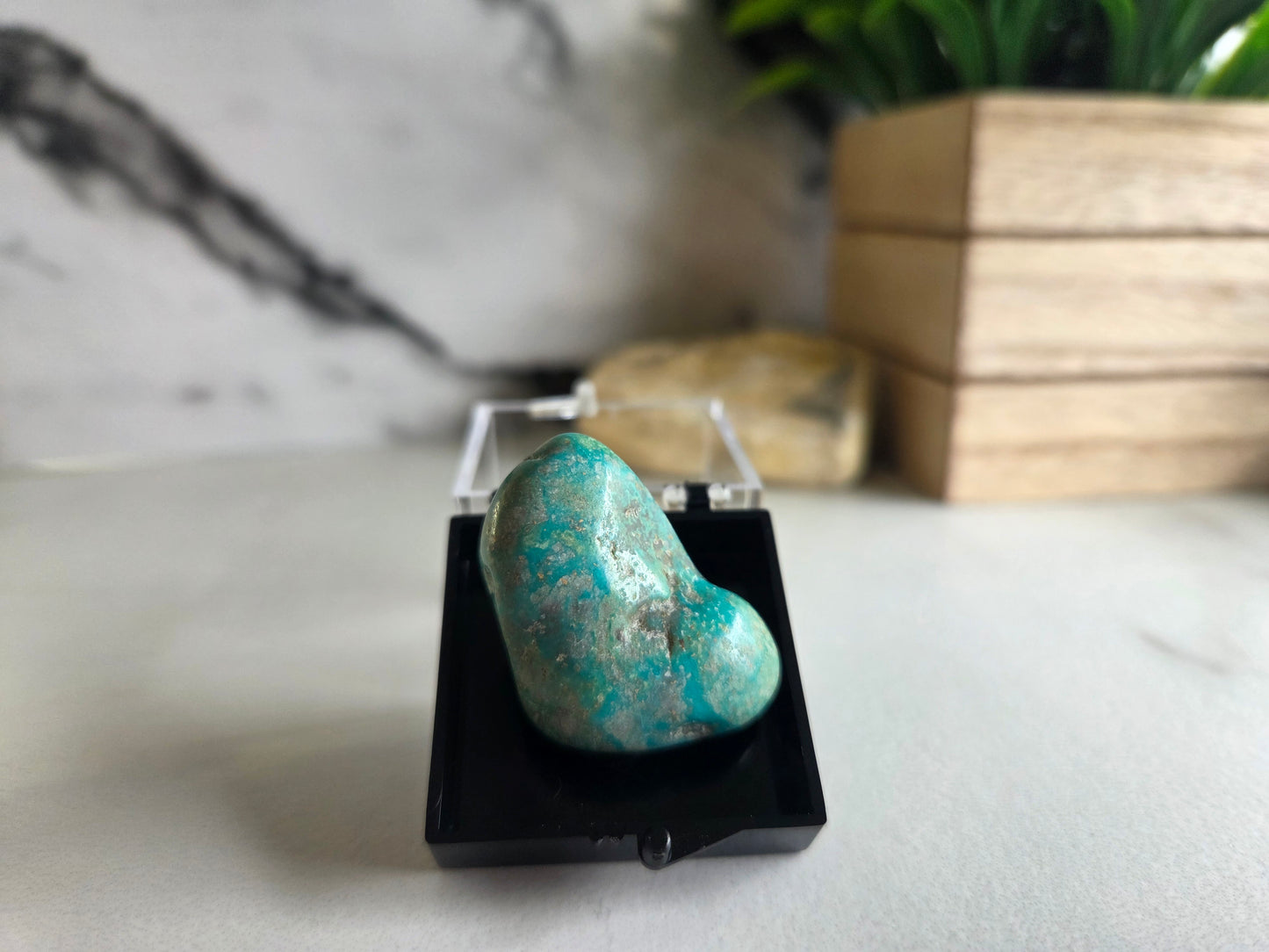 Polished Turquoise Specimen 💙