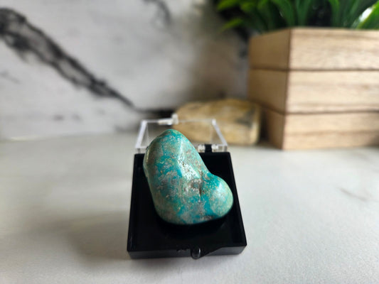Polished Turquoise Specimen 💙