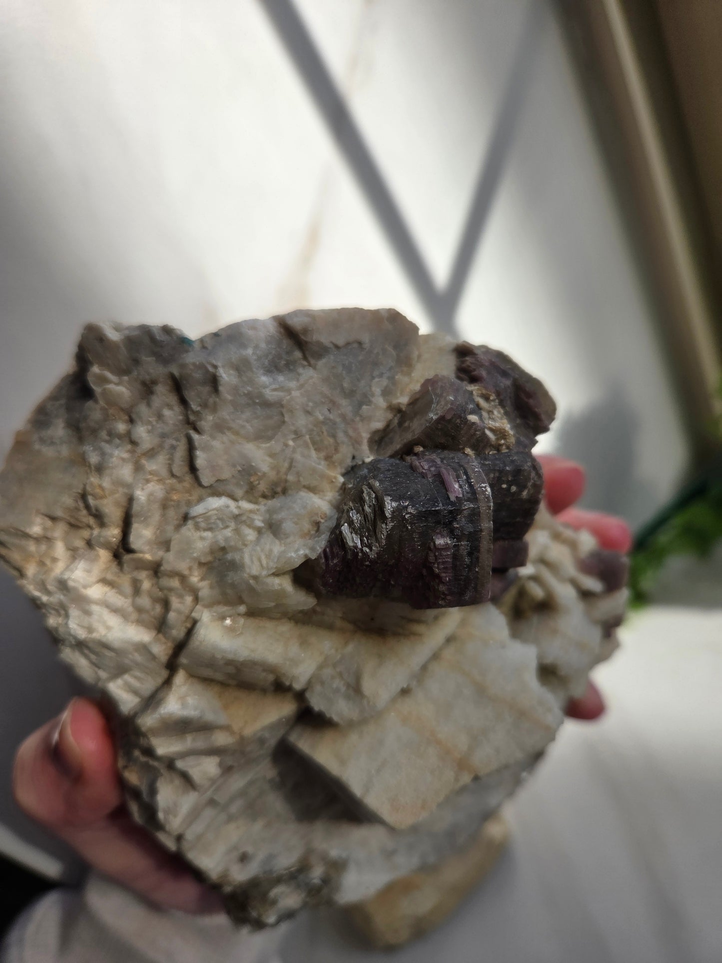 Raw Lepidolite with Clevelandite Feldspar Specimen 😍