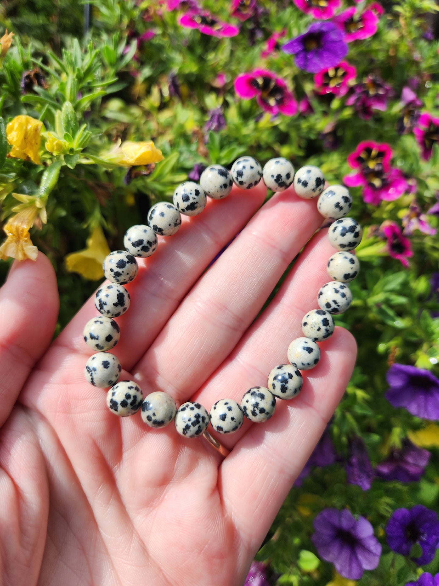 Dalmatian Jasper Bracelet