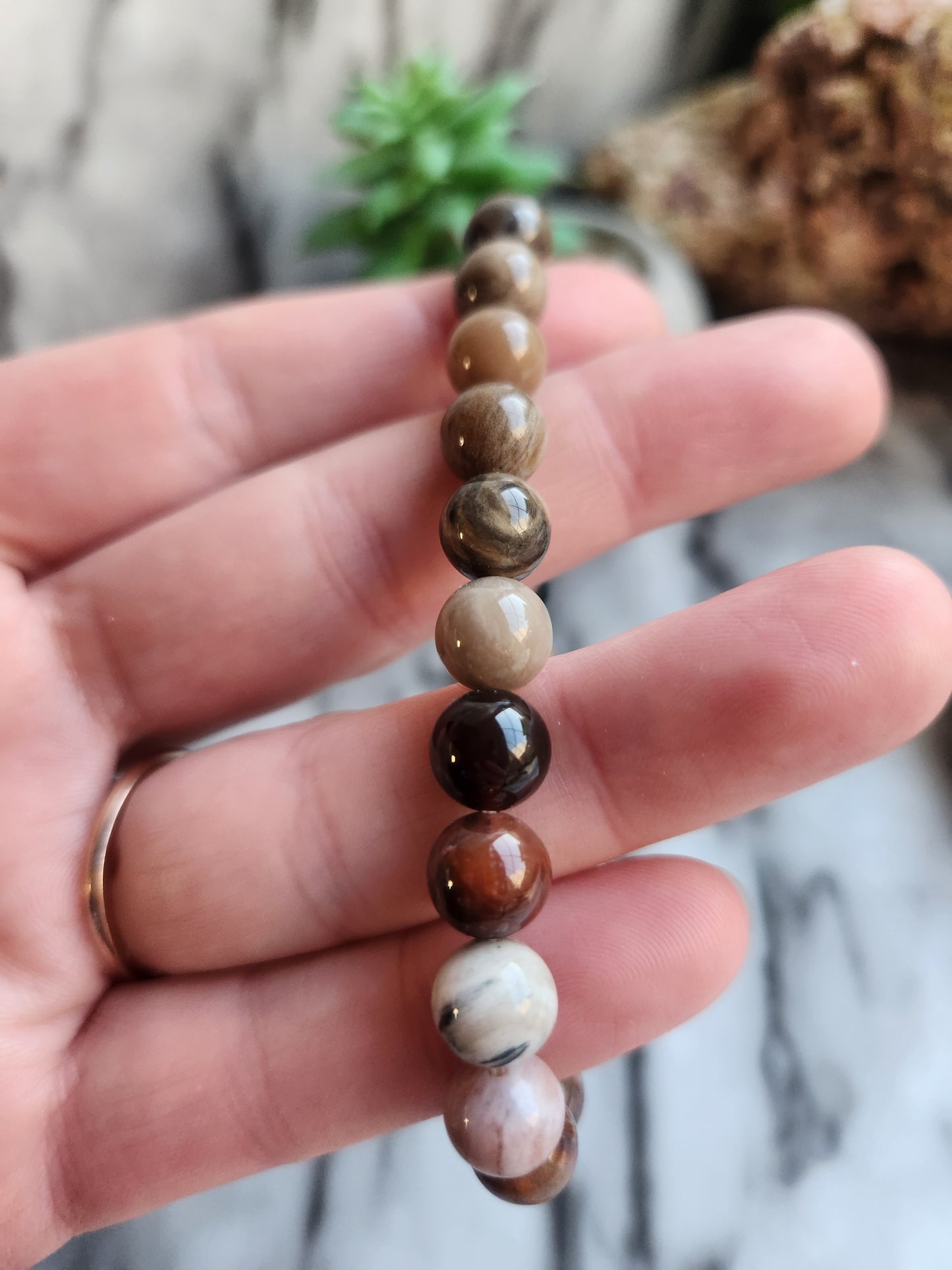 Petrified Wood Bracelet