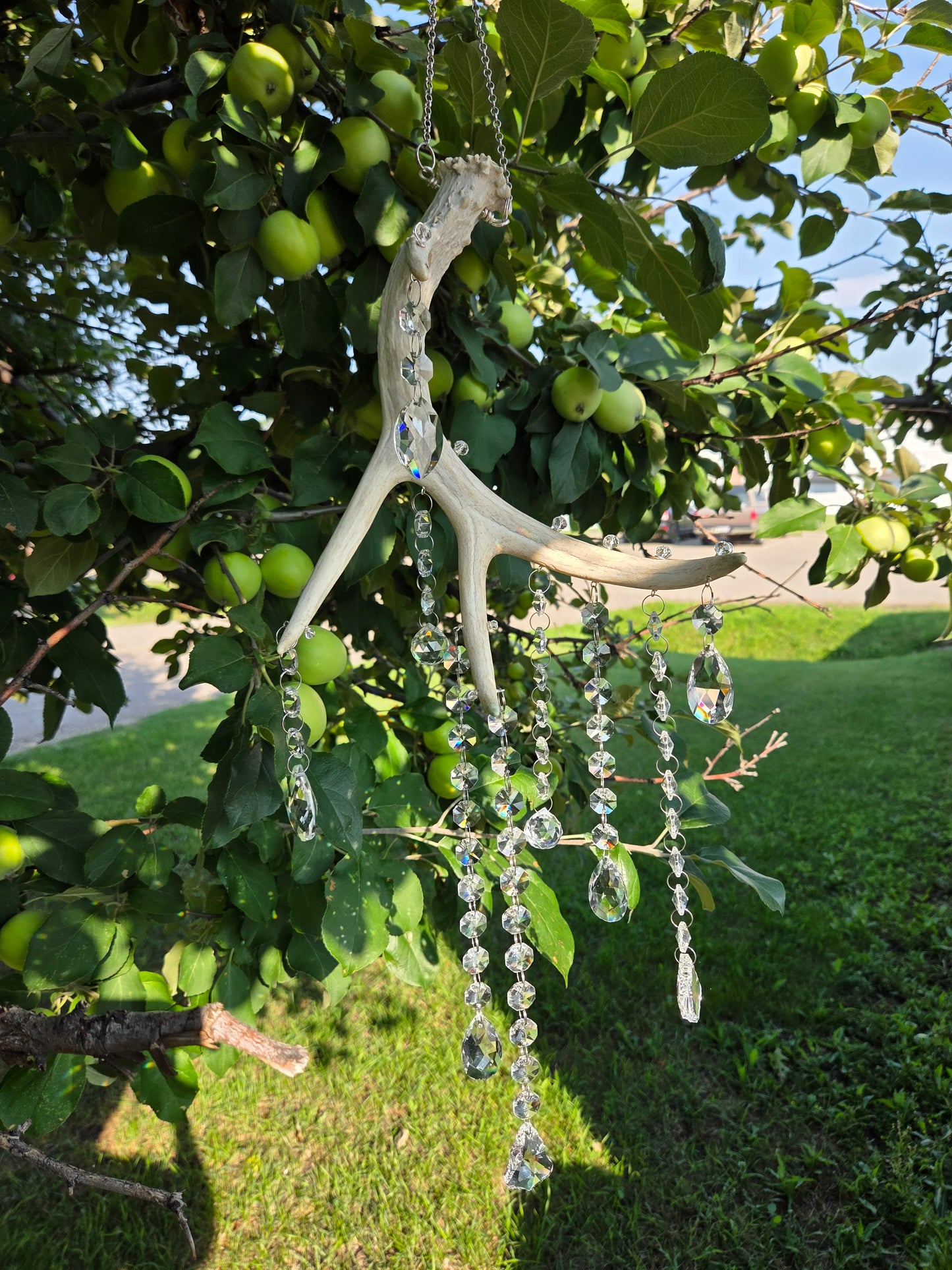 Wildwood Rain 🌳🌧 Deer Antler Crystal Suncatcher 🦌
