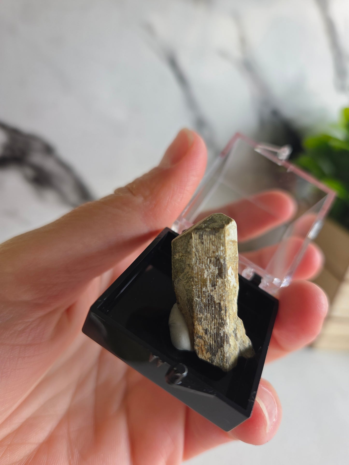 Natural Scapolite Crystal Specimen