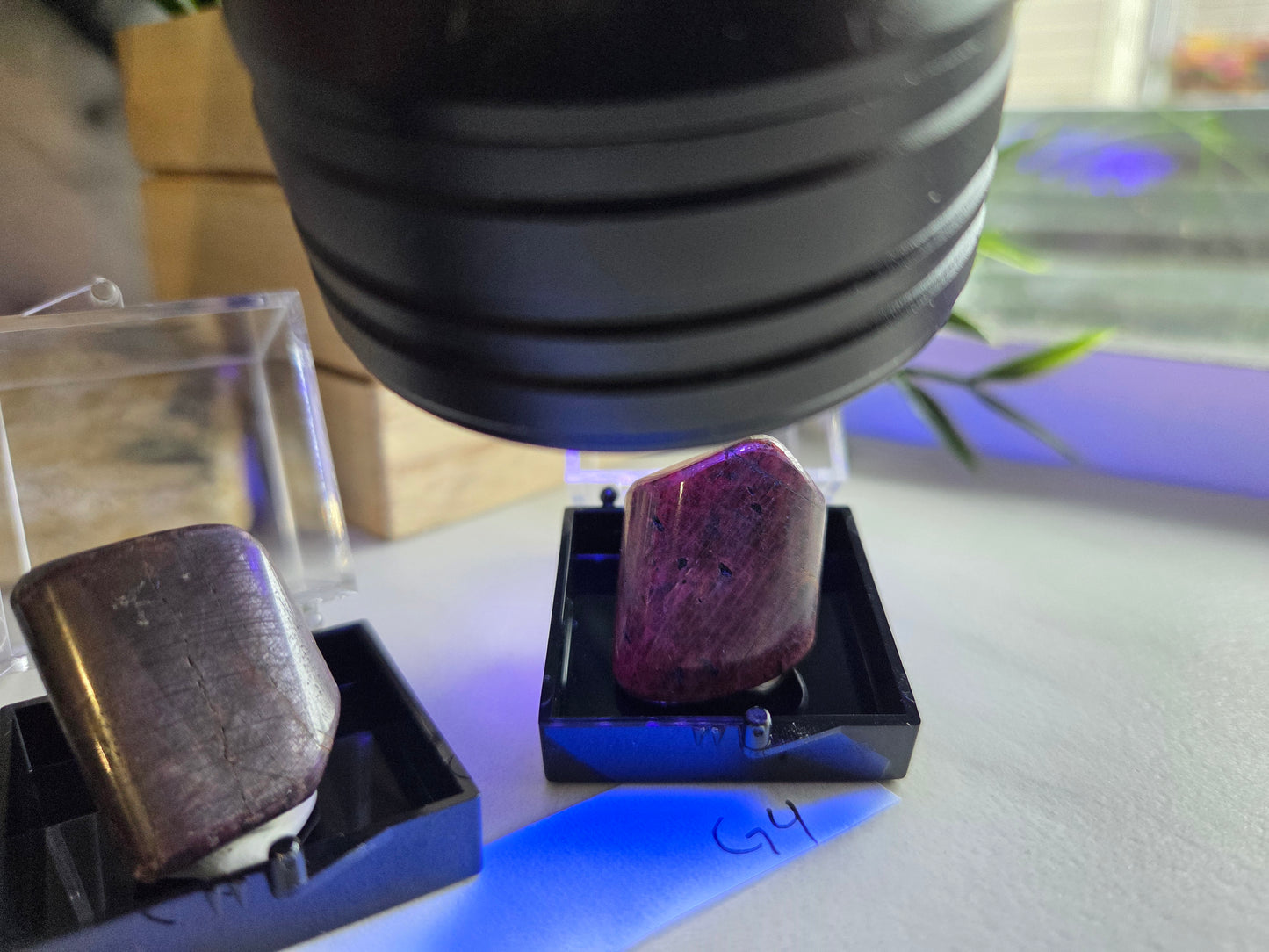 Polished Ruby Specimens ❤️