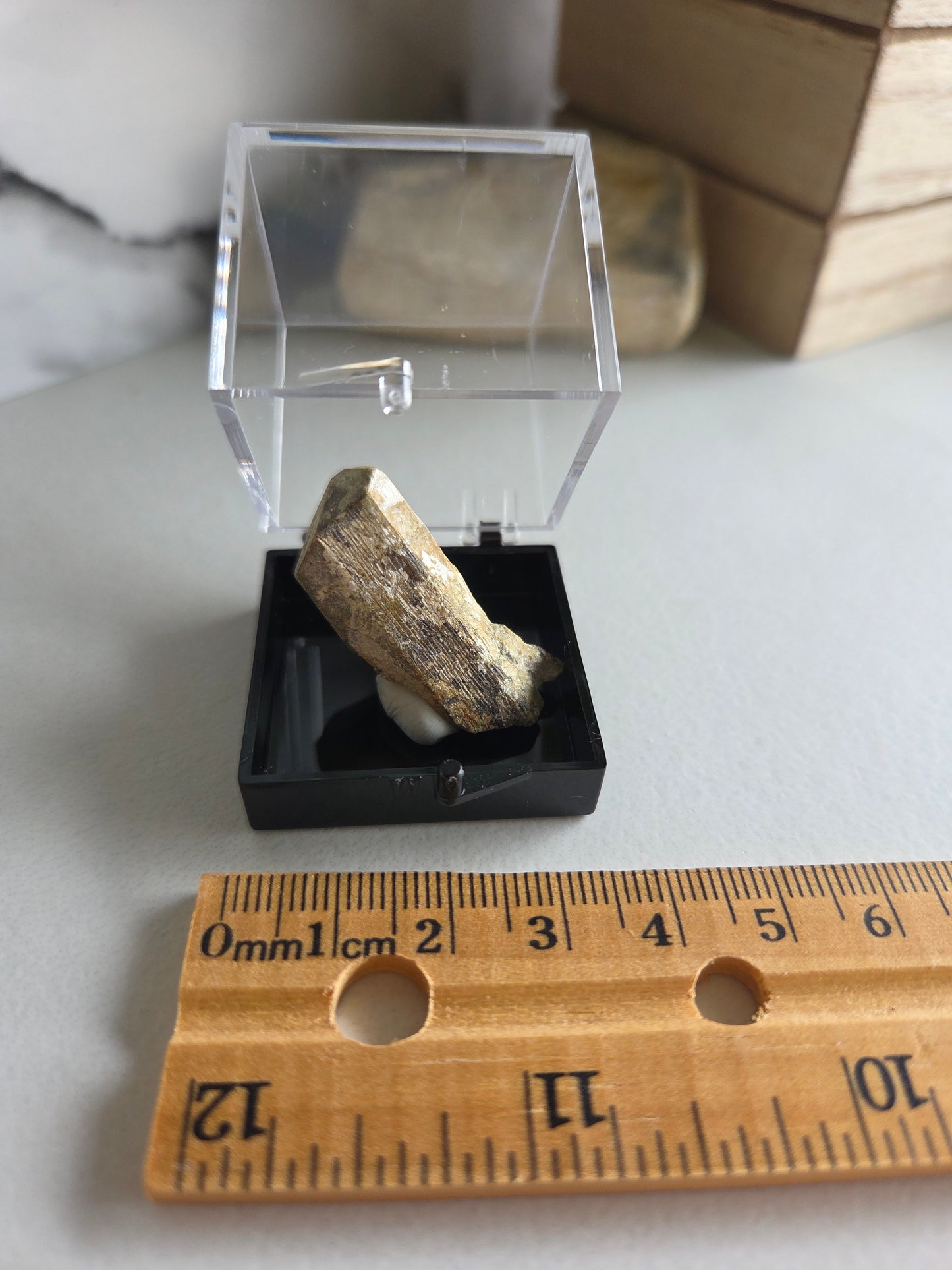 Natural Scapolite Crystal Specimen