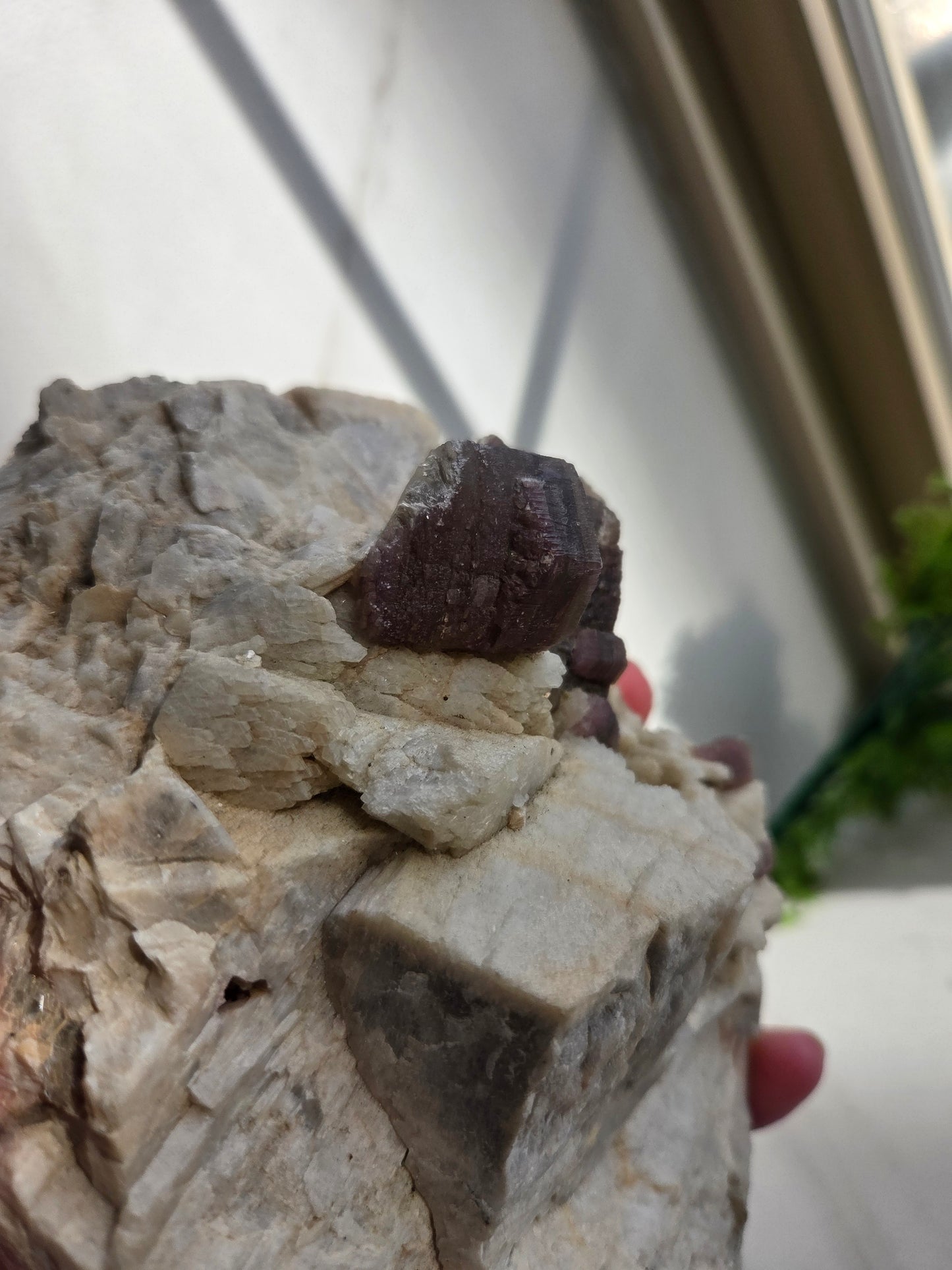 Raw Lepidolite with Clevelandite Feldspar Specimen 😍
