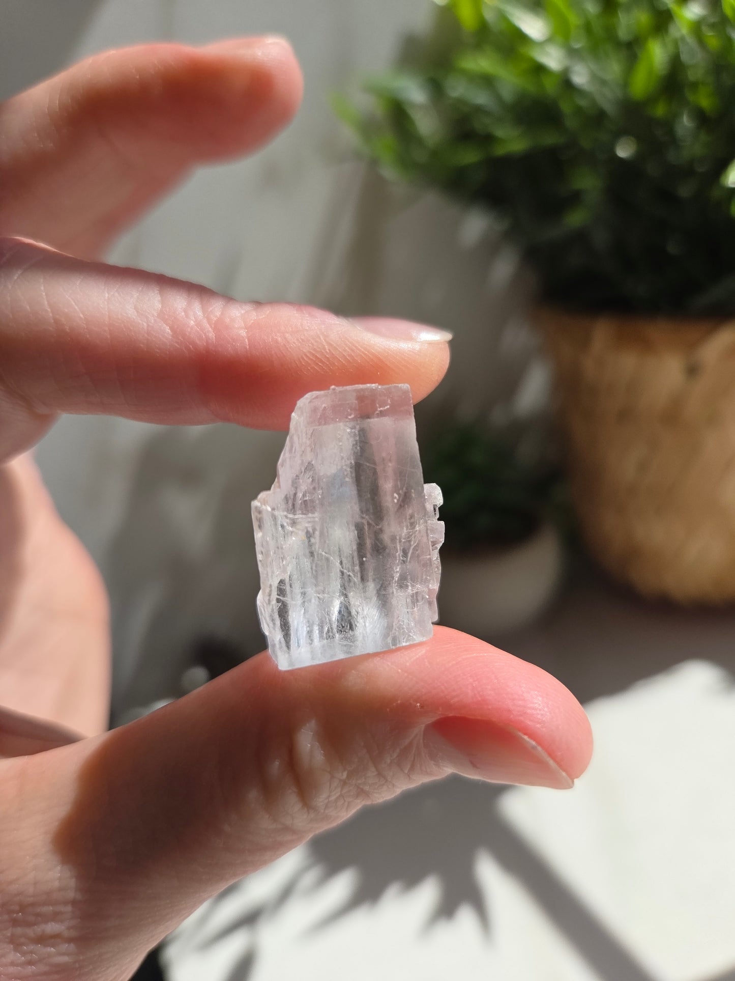 Raw Blue Halite 💙