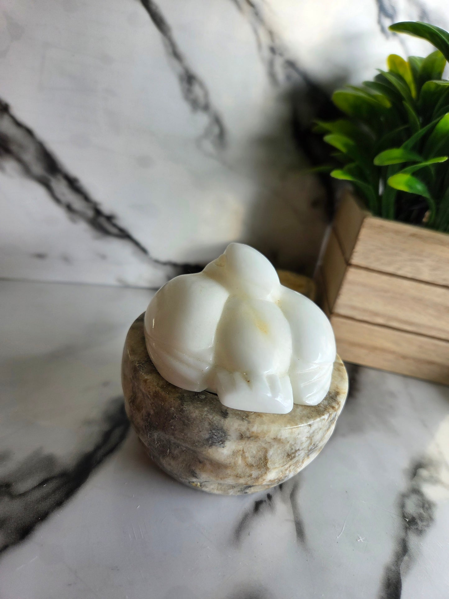 Vintage Soviet-Era White Selenite Bird Trinket Box with Original Box 🐦 (LC)