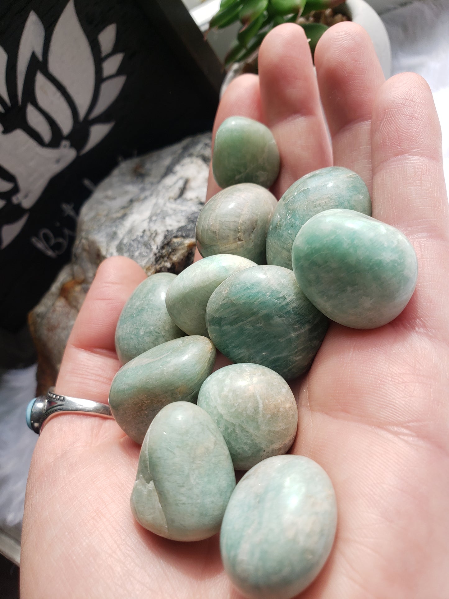 Amazonite Tumbled Stones