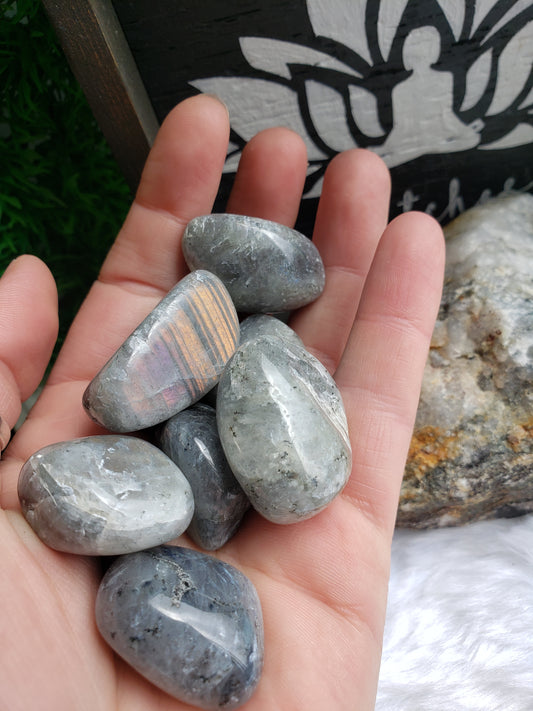 Labradorite Tumbled Stones