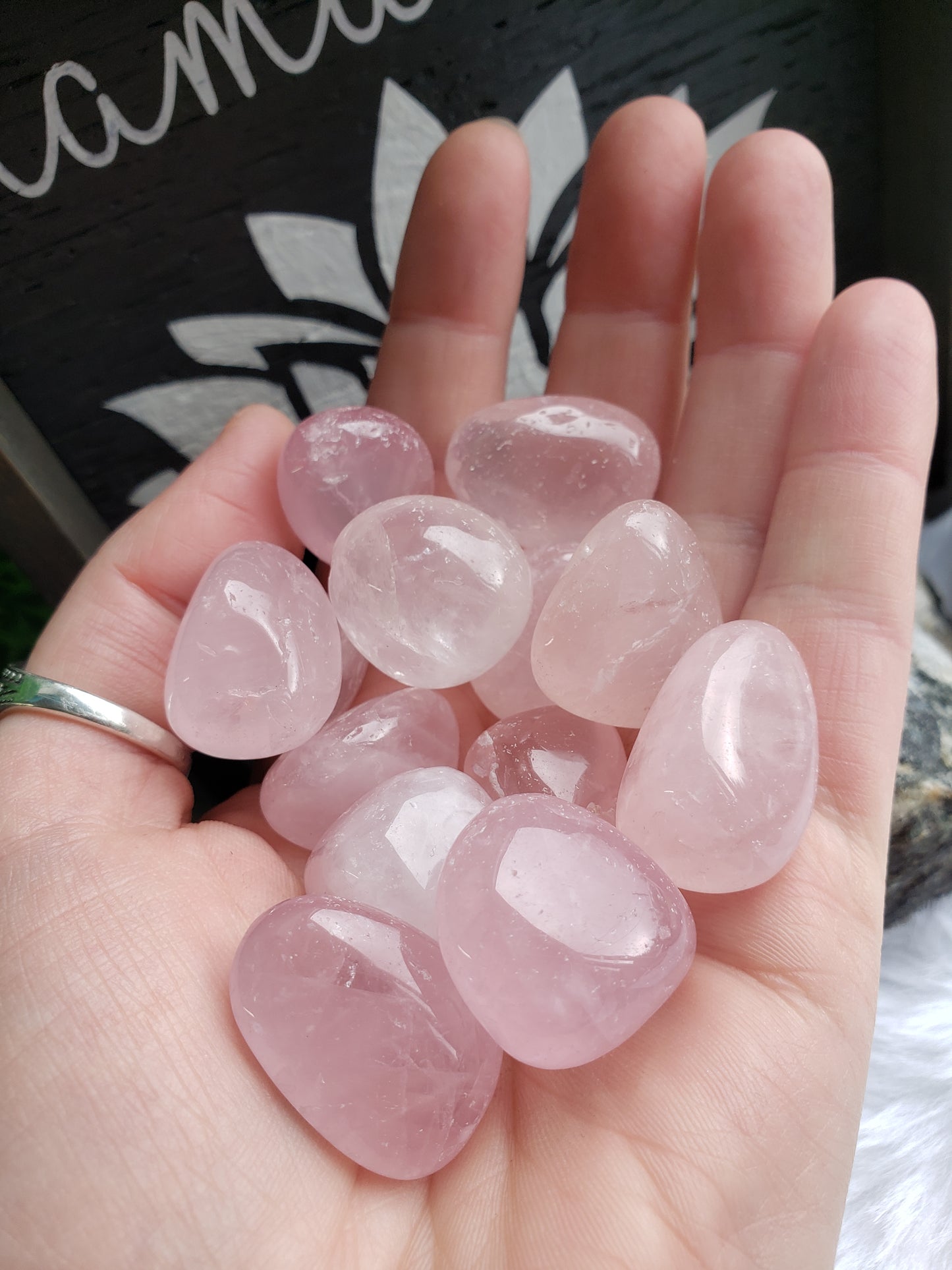 Rose Quartz Tumbled Stones