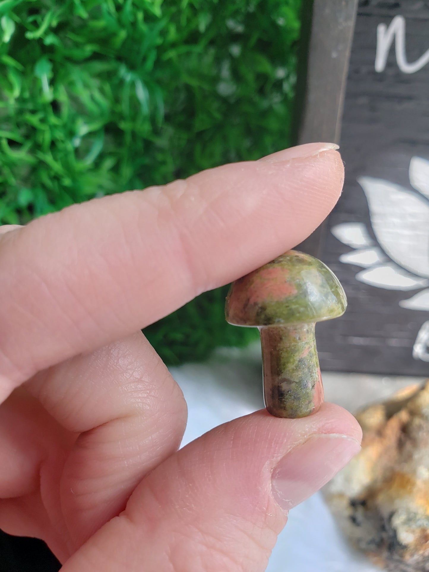 Mini Mystery Mushroom Carving