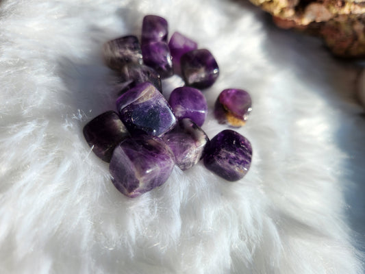 Mini Amethyst Cubes Tumbles