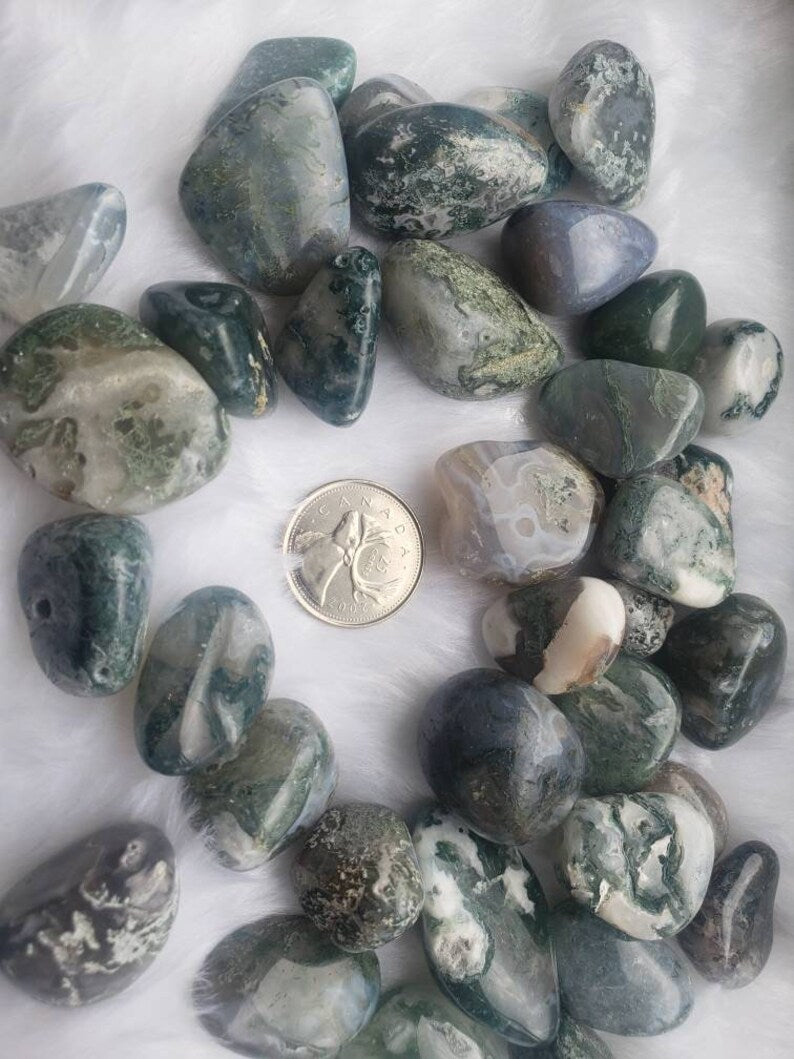 Moss Agate Tumbled Stones