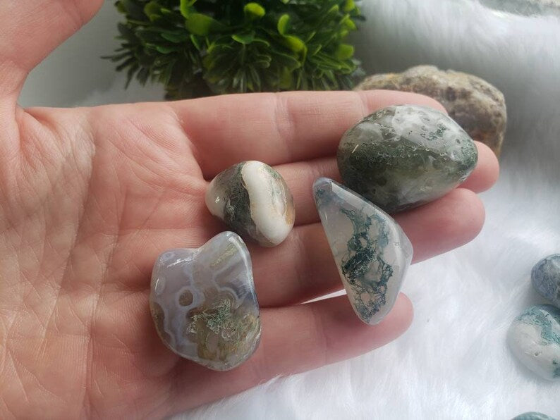 Moss Agate Tumbled Stones