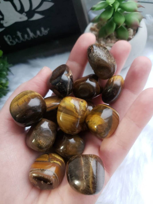 Tigers Eye Tumbled Stones