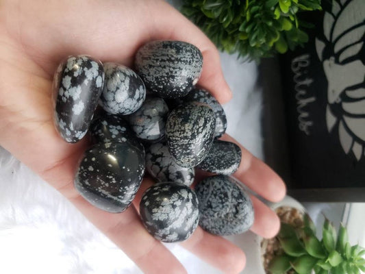 Snowflake Obsidian Tumbled Stones