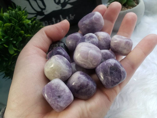 Lepidolite Tumbled Stones